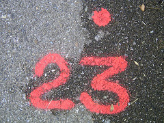 23